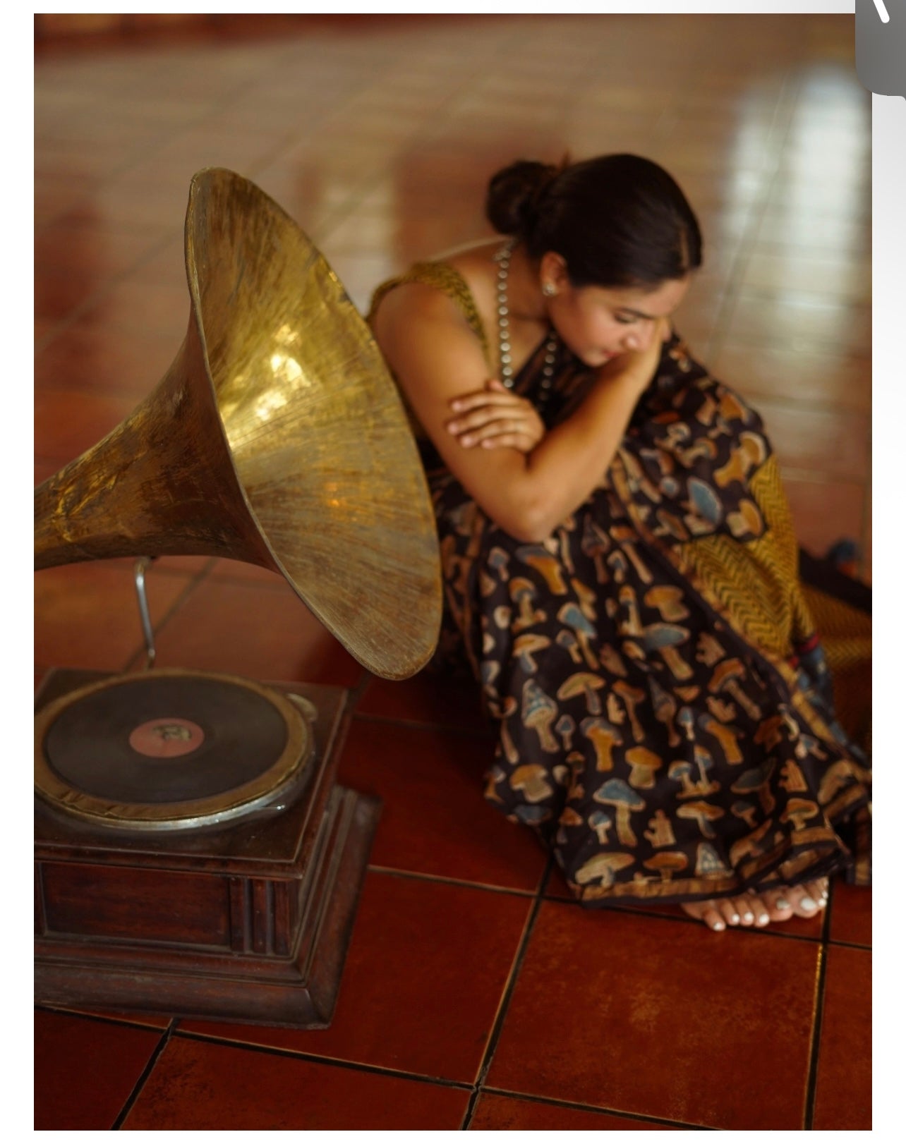 Chanderi Cotton Saree