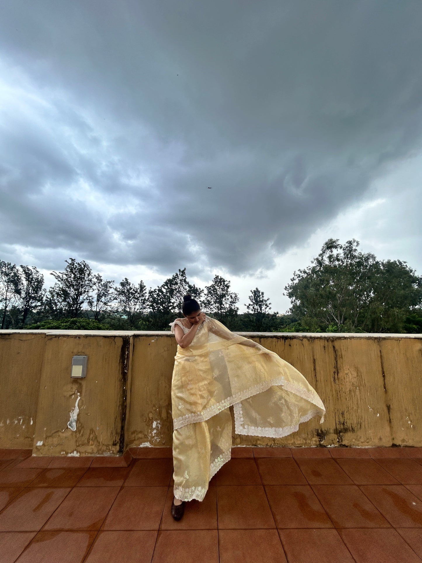 Jimmy Choo Saree