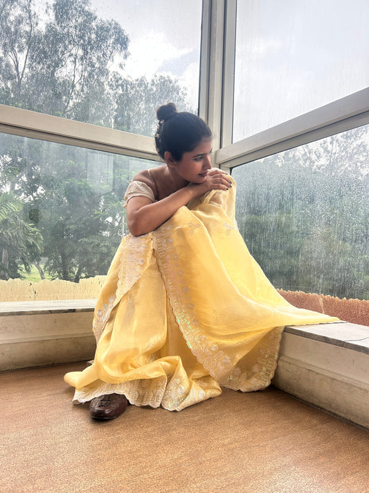 Jimmy Choo Saree
