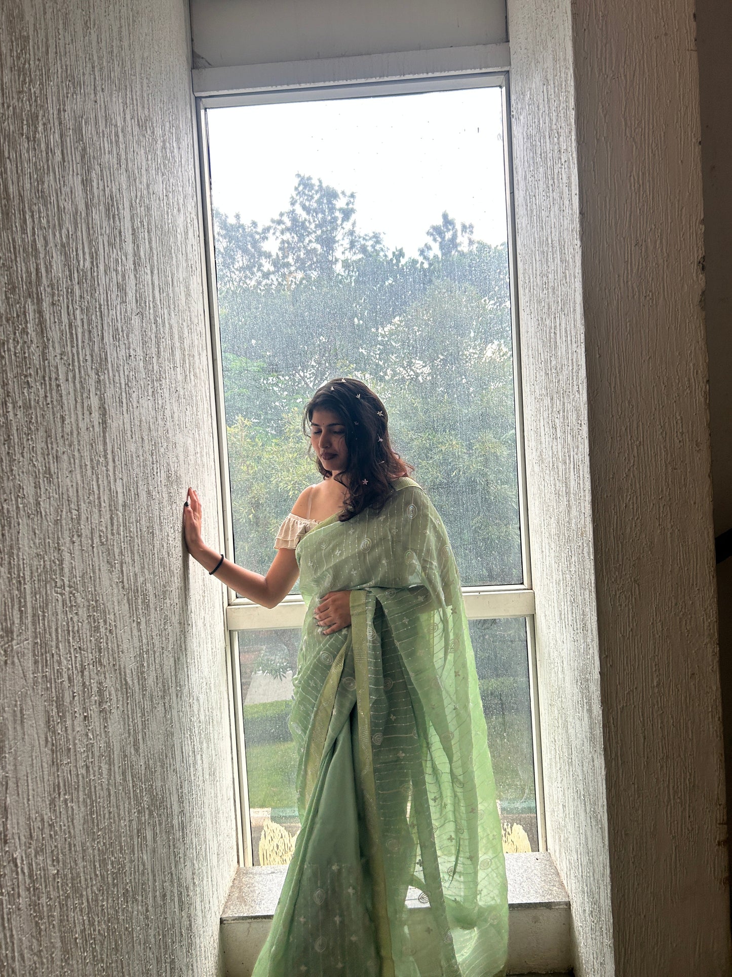 Chiffon All over Saree