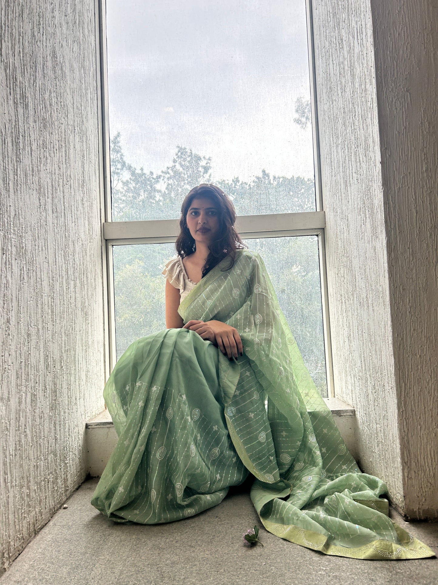 Chiffon All over Saree